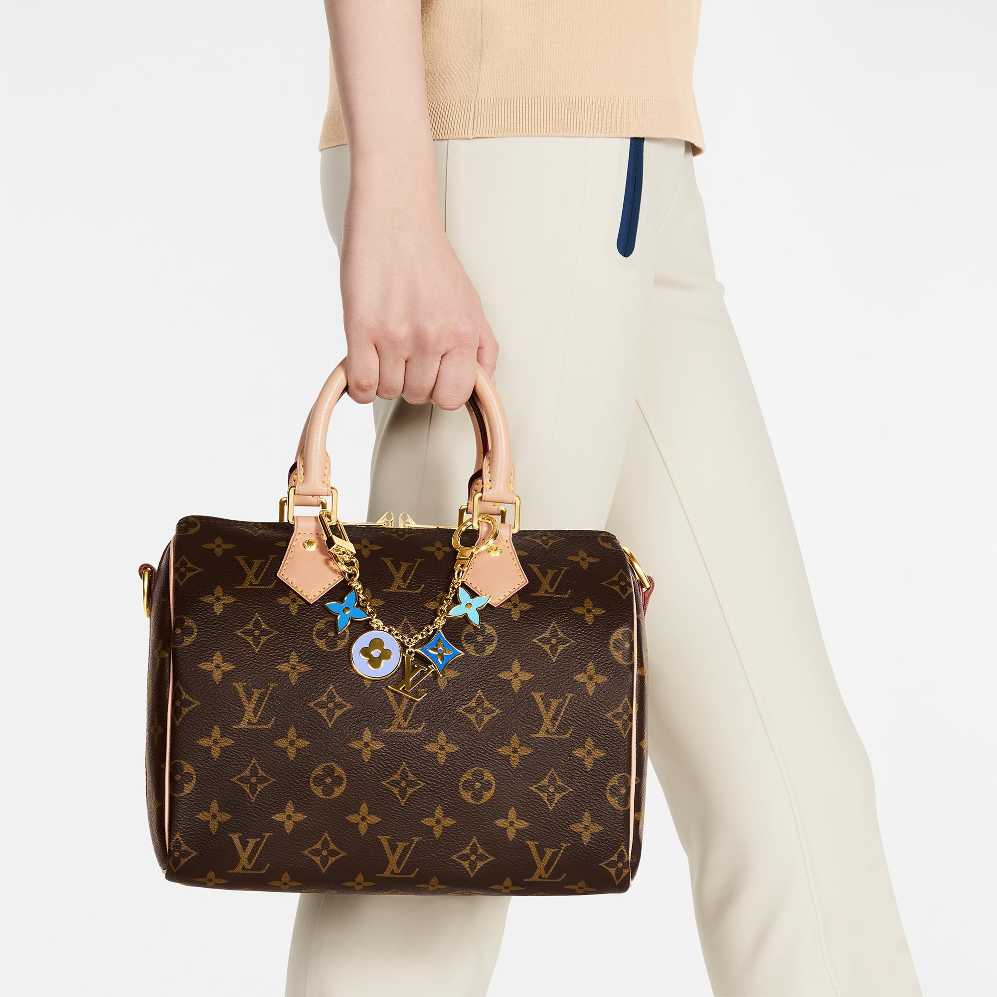 LV Lively Chain - 3