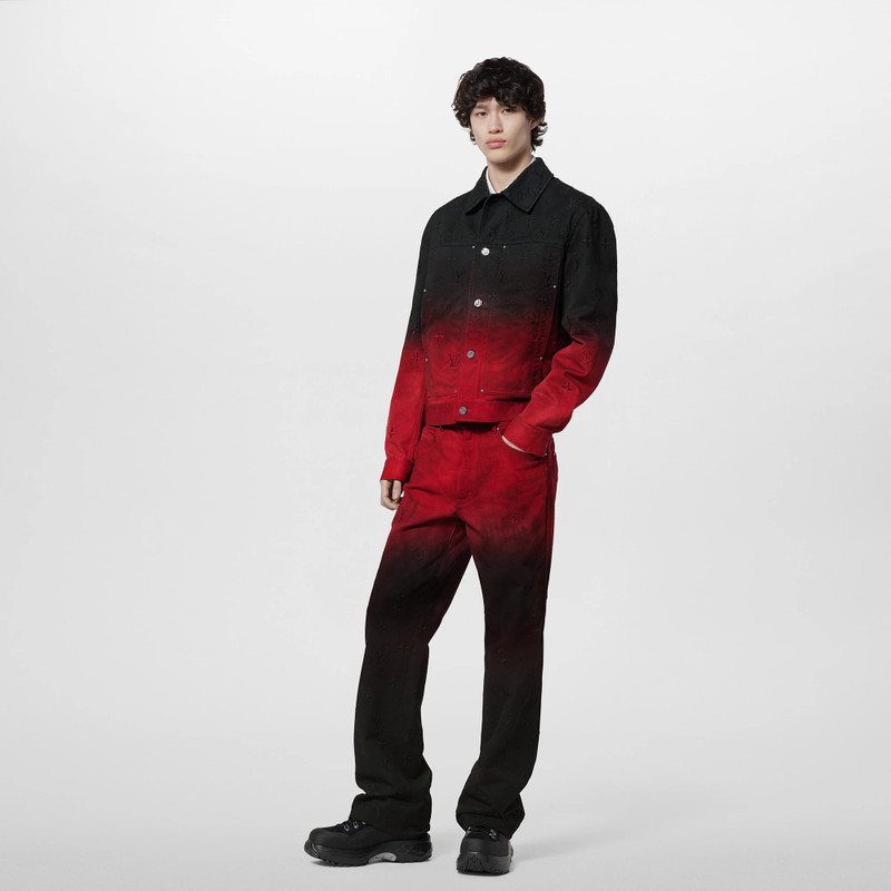 Louis Vuitton Embroidered Denim Blouson outlook