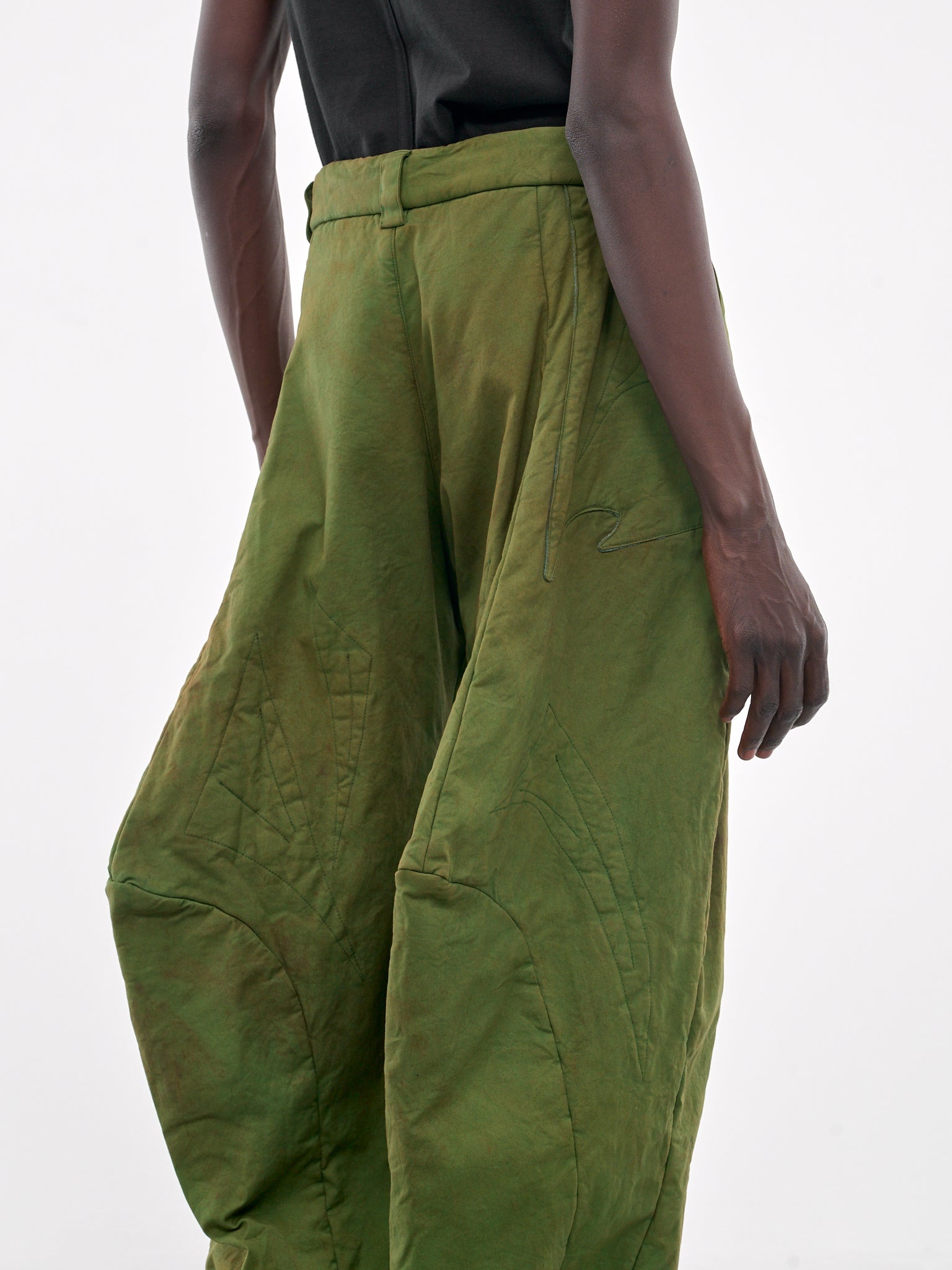 Dinosaur Pants - 5