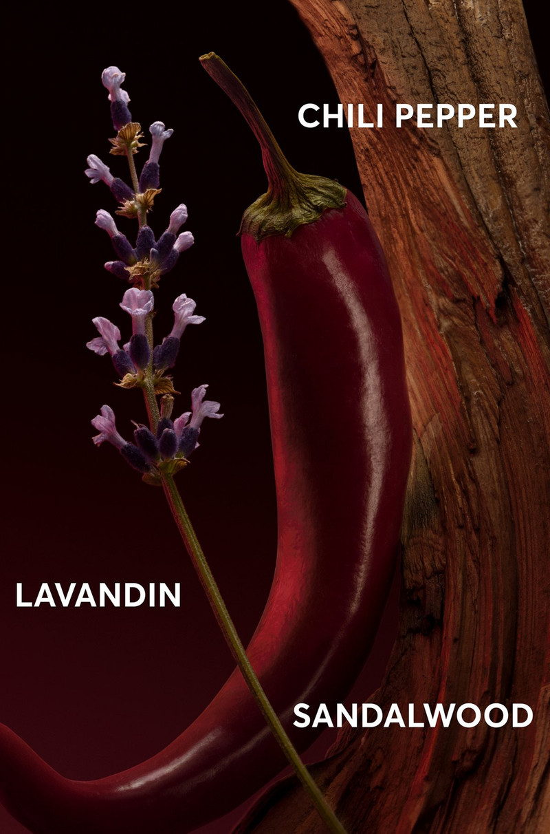 BOSS THE SCENT ELIXIR EAU DE PARFUM 50ML 4