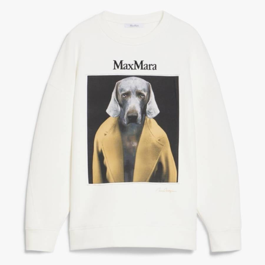 Max Mara X William Wegman Bacco Sweater - 5