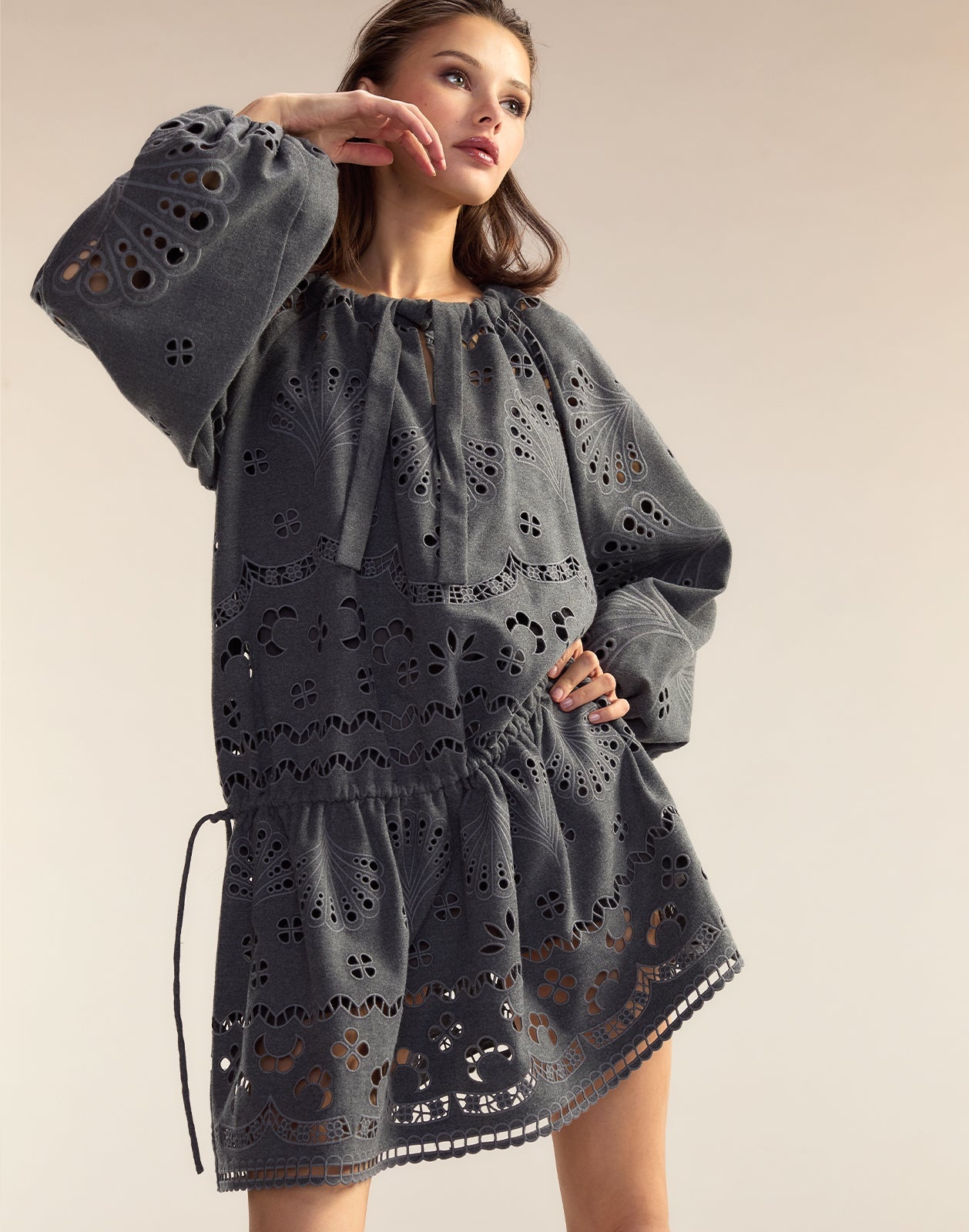 Wellesley Embroidered Dress - 4