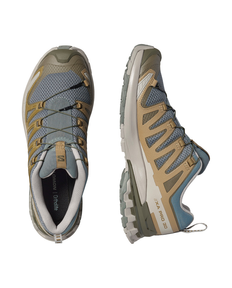 SALOMON XA PRO 3D V9 outlook