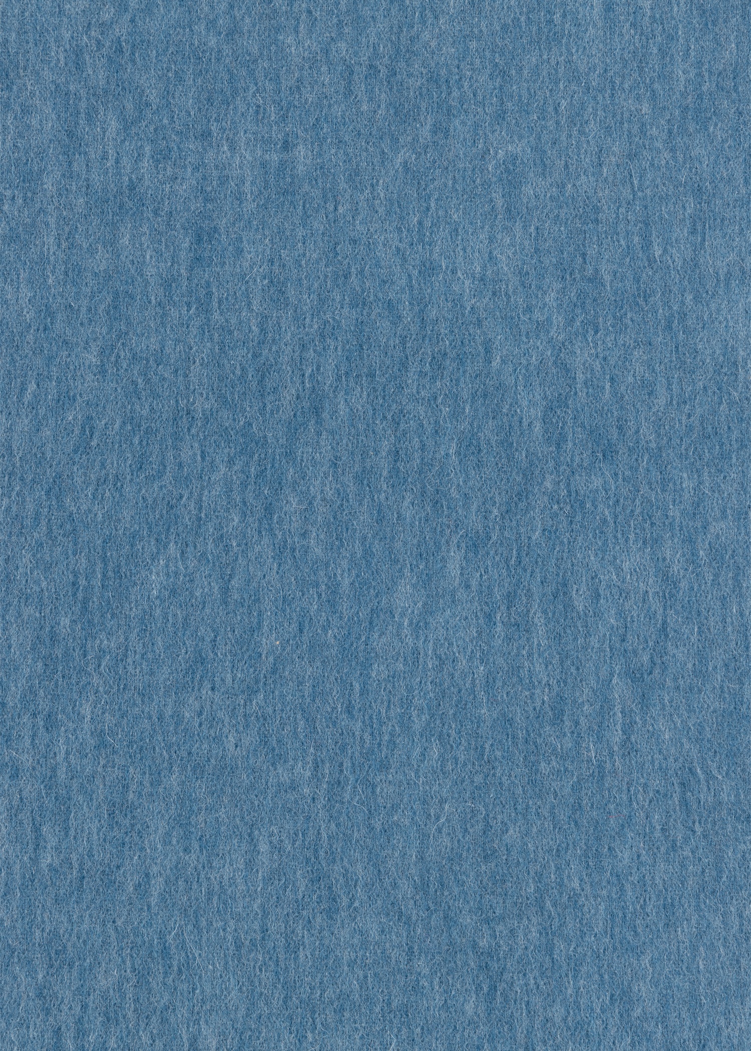 Blue Lambswool Zebra Logo Scarf - 4