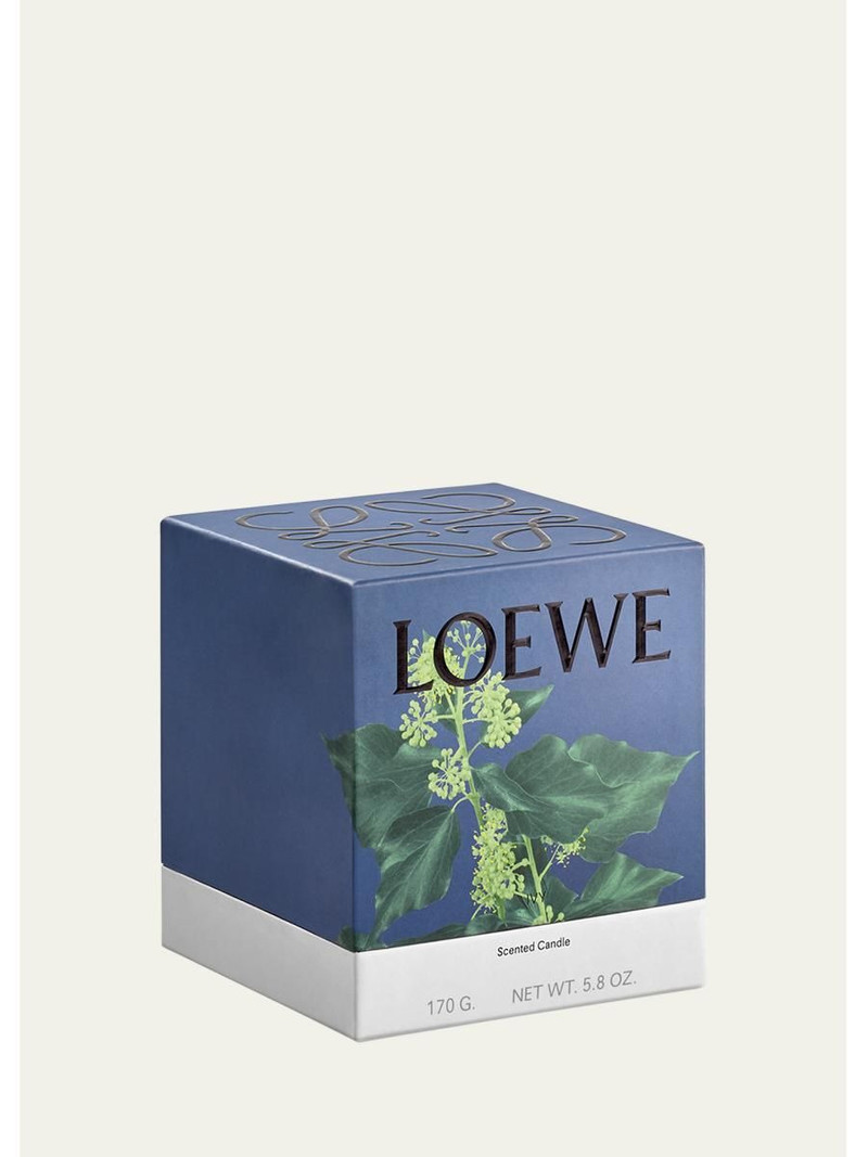 Small Ivy Candle, 5.8 oz. 4