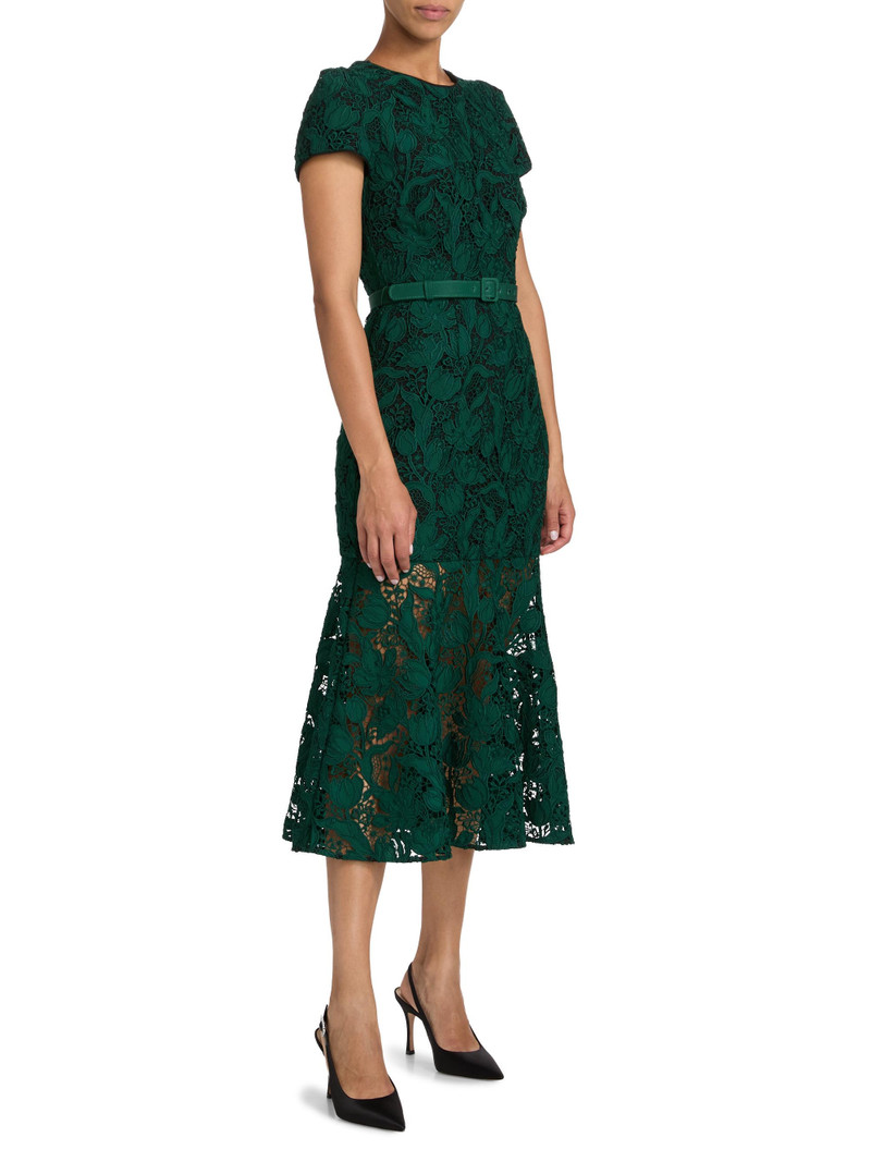 Women's Tahlia Tulip Garden Lace Midi-Dress - Dark Green 4