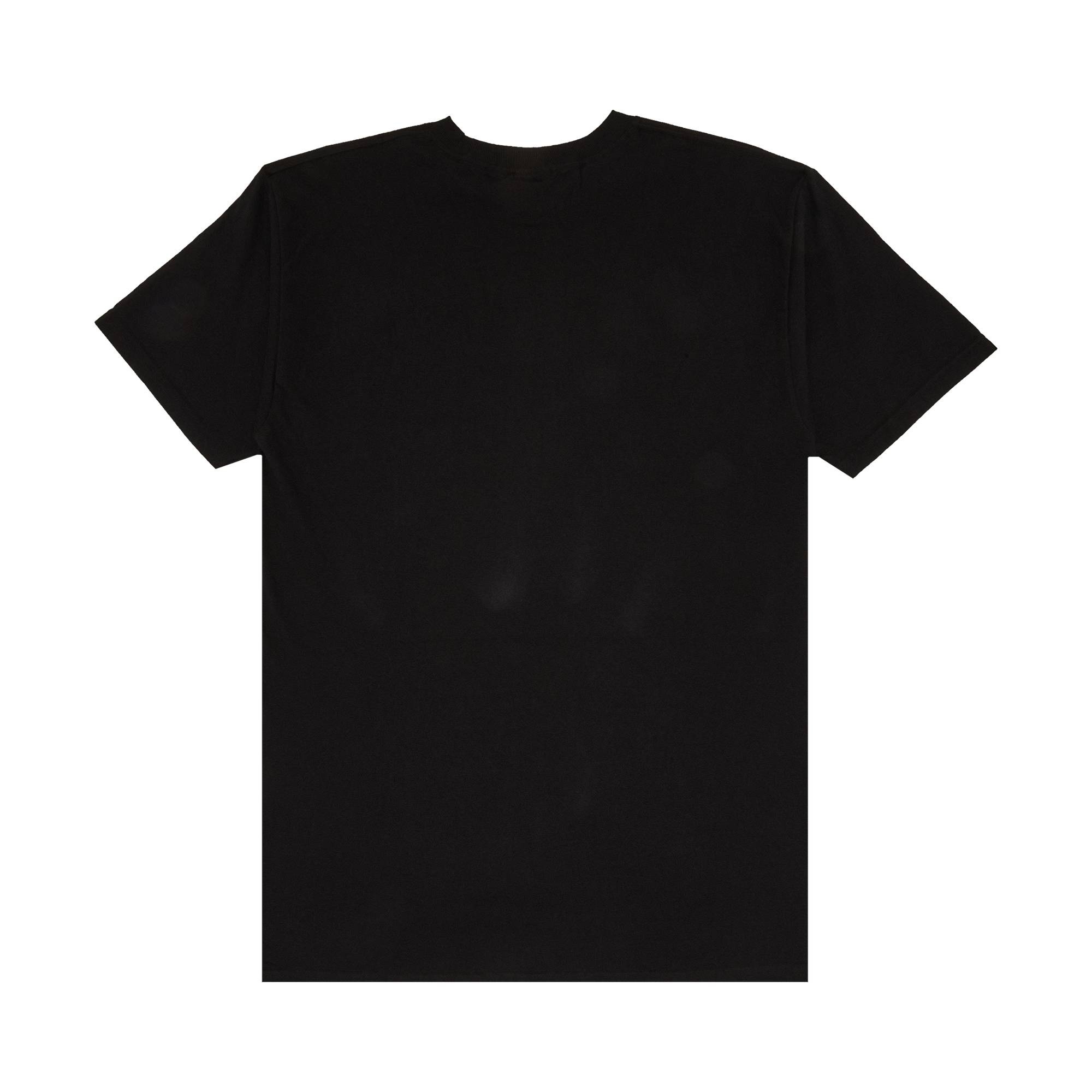 Stussy Brush Skull Tee 'Black' - 2