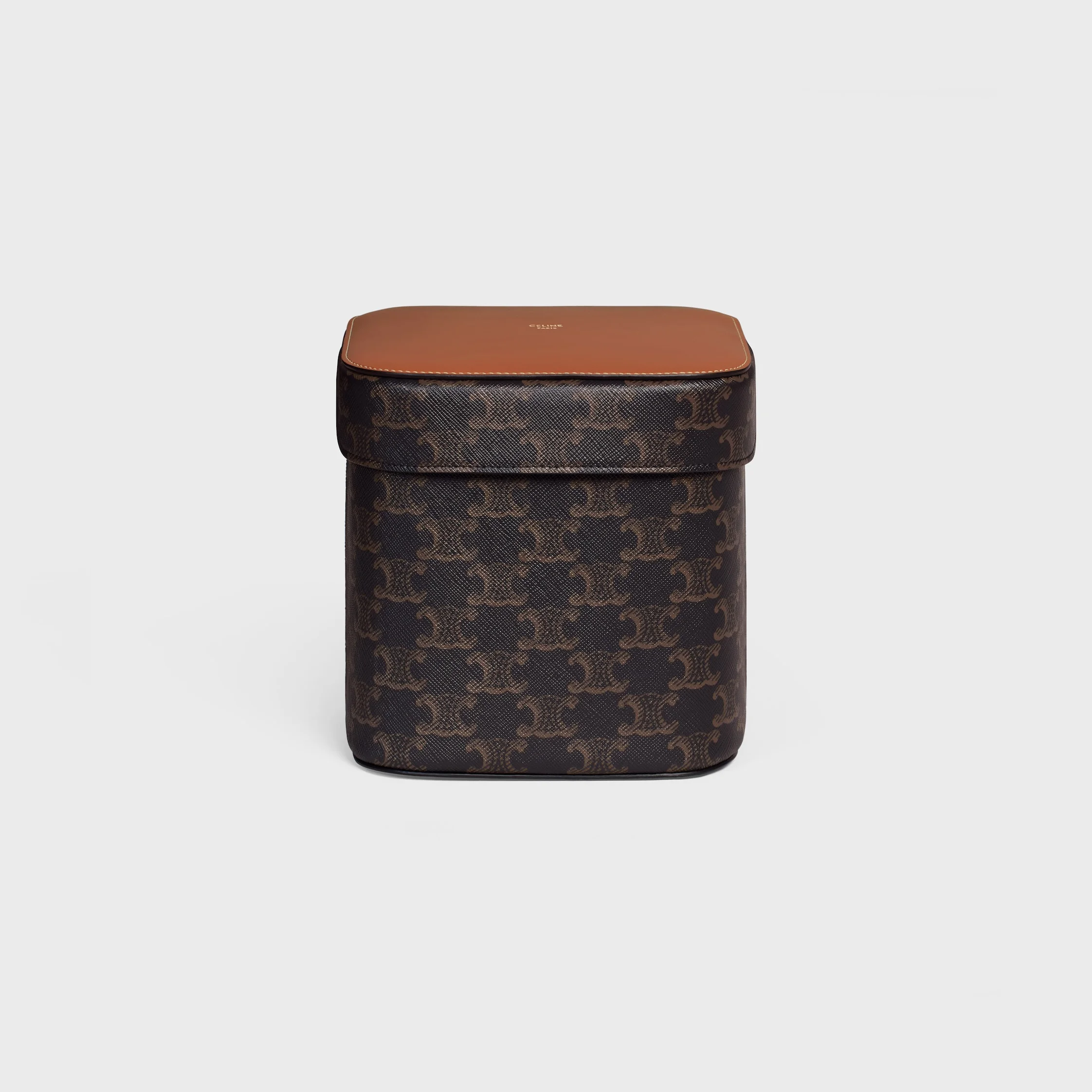 Large Box in Triomphe Canvas and Calfskin - 1