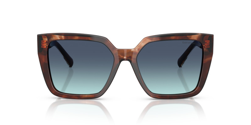 Tiffany & Co. TF4235 outlook