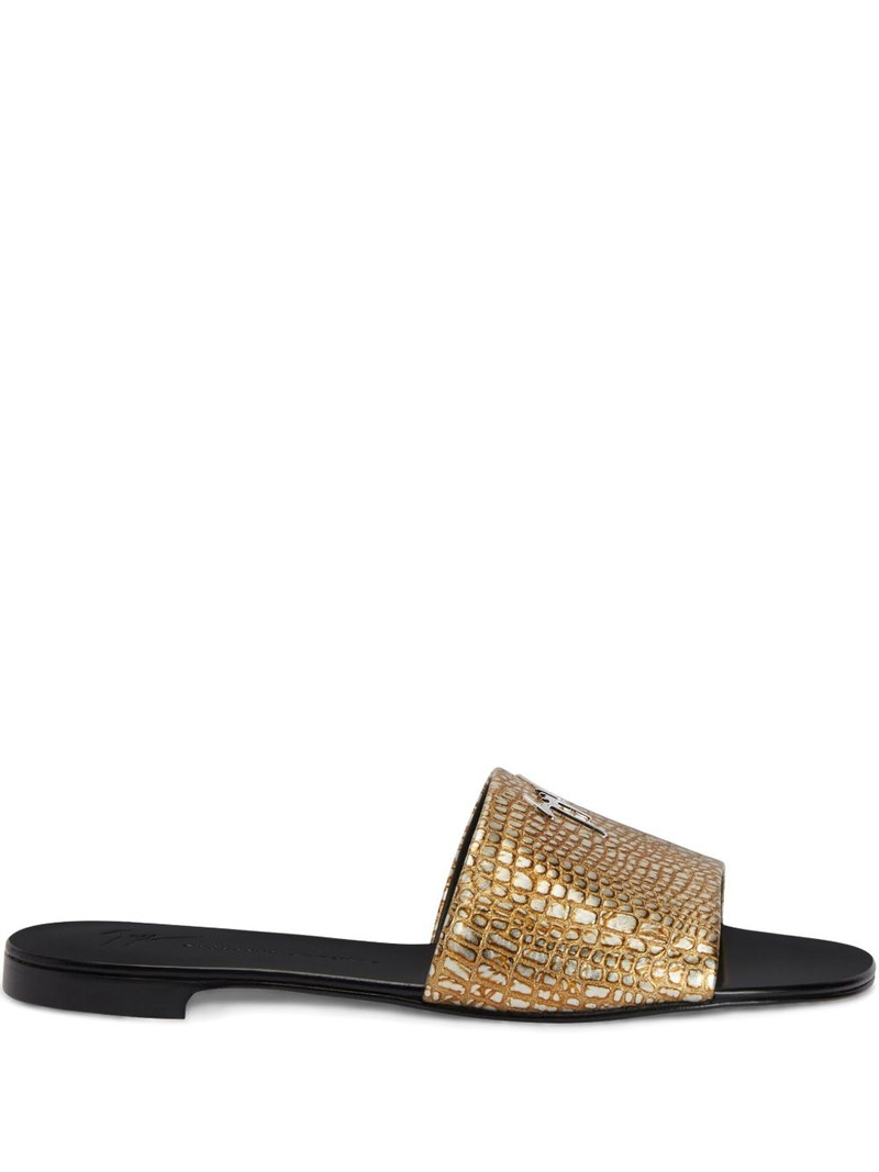 Shirley slides 1