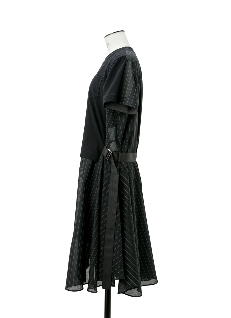 Spun Organza x Cotton Jersey Dress 3