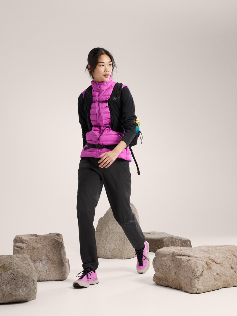 Arc'teryx Cerium Vest outlook
