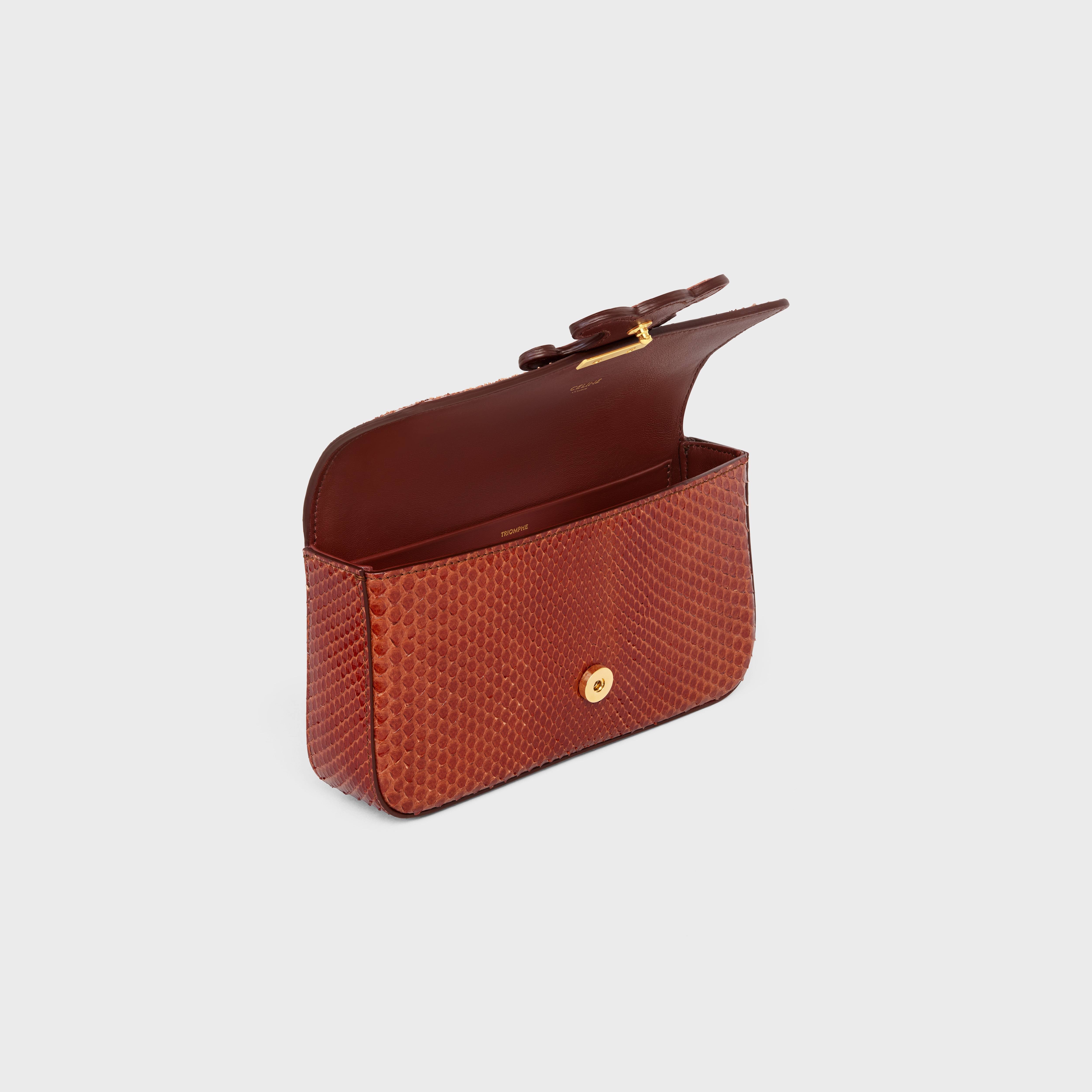 CHAIN SHOULDER BAG CUIR TRIOMPHE in PYTHON - 4