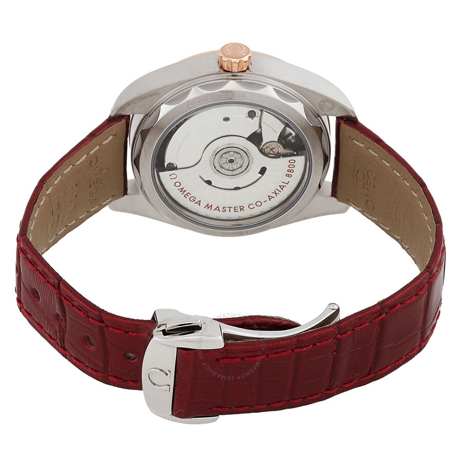 Omega Seamaster Automatic Chronometer Pink Dial Ladies Watch 220.23.34.20.60.001 - 3