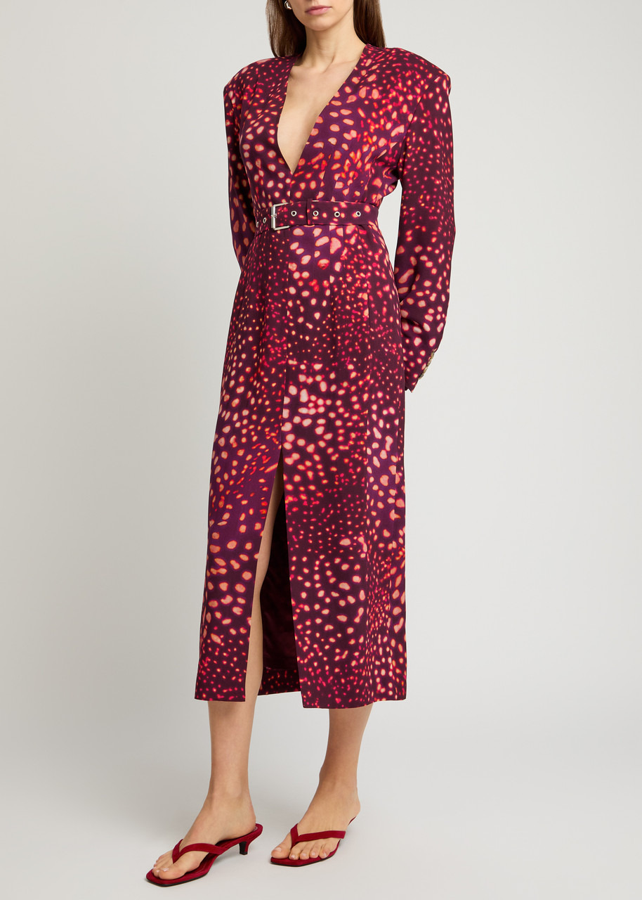 Dries Van Noten Dohana Belted Printed Midi Dress - 4