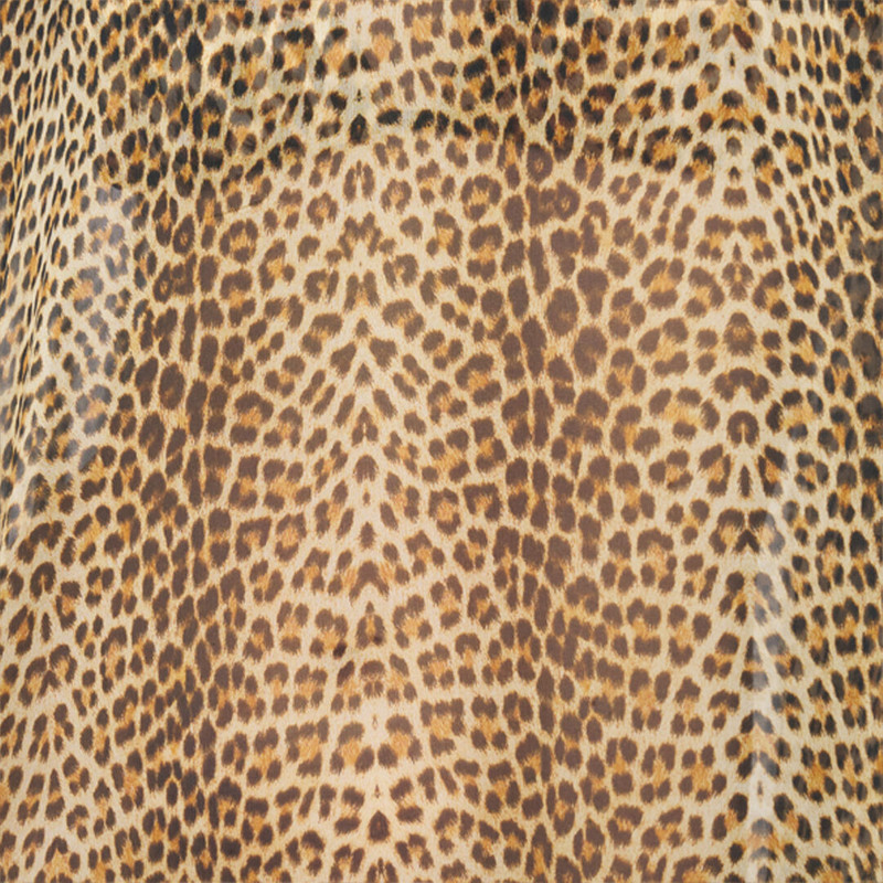 Baby Jaguar Silk Kaftan 5