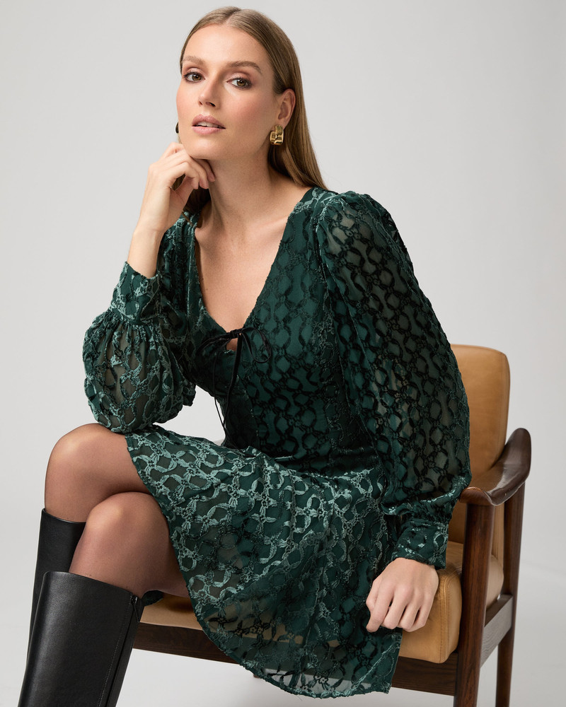 Ambrose Dress 5