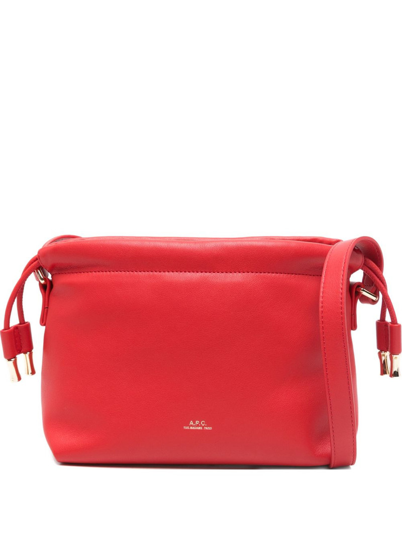 mini log-detail crossbody bag 1