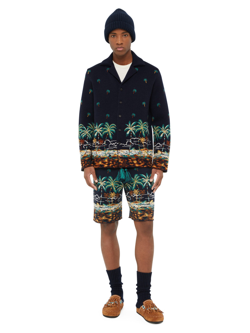 Alanui The Tale Of A Hawaiian Shirt outlook