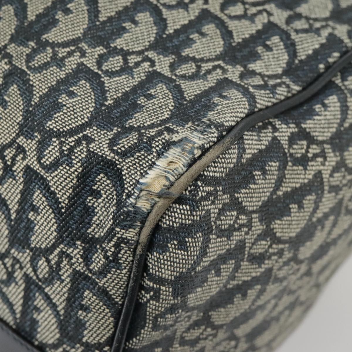 DIOR Trotter Canvas Hand Bag Navy Gold Silver - 10