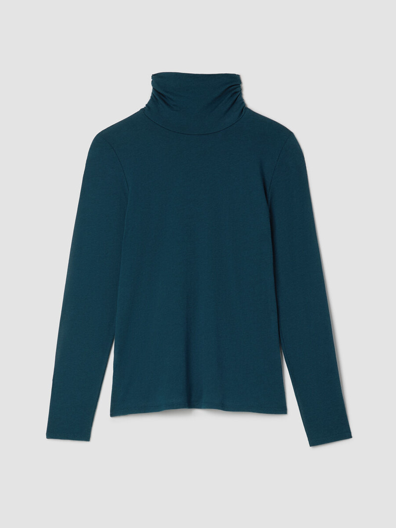Sheer Cotton Blend Knit Turtleneck Top 1