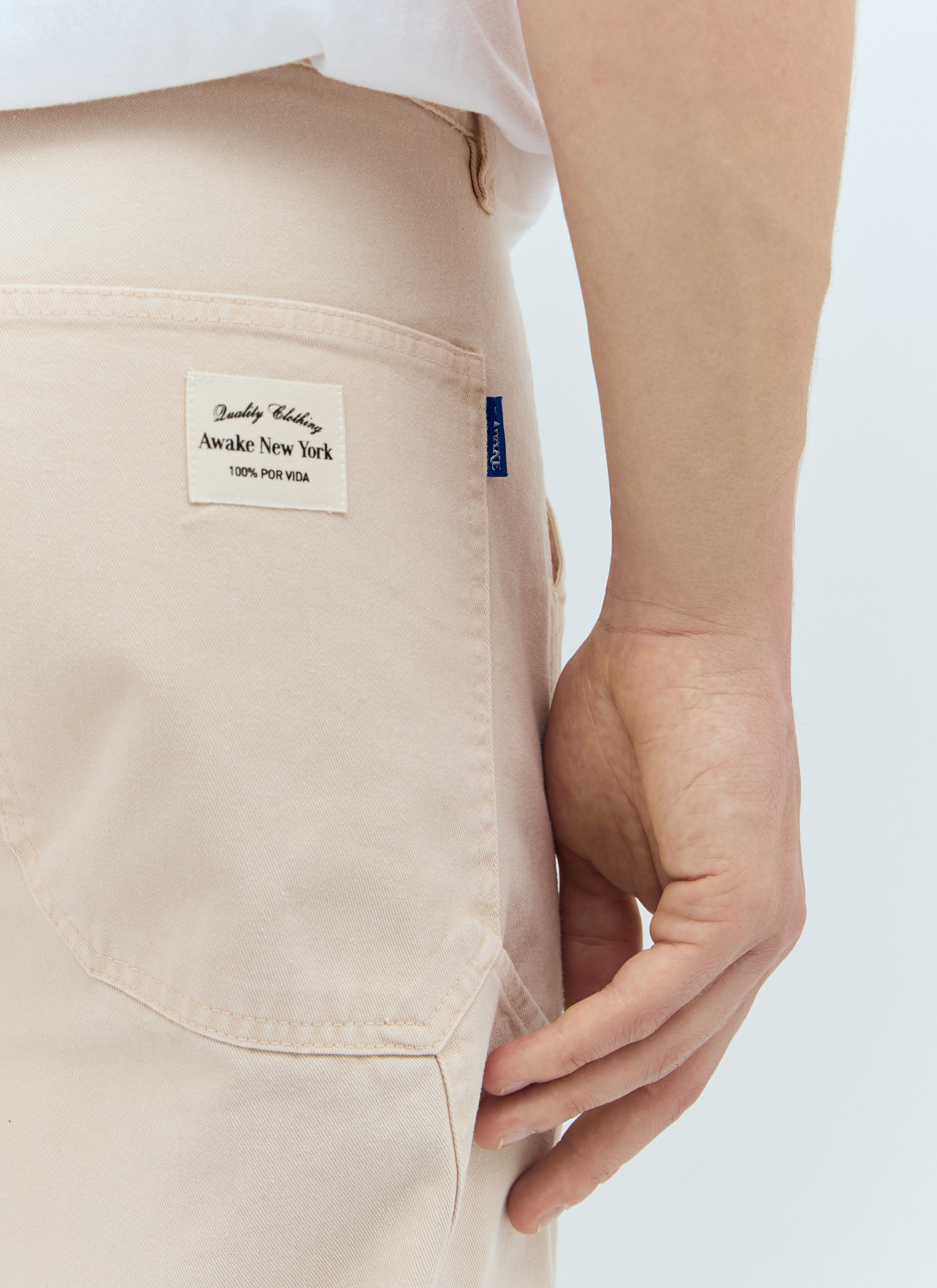 Painter Pants - 5