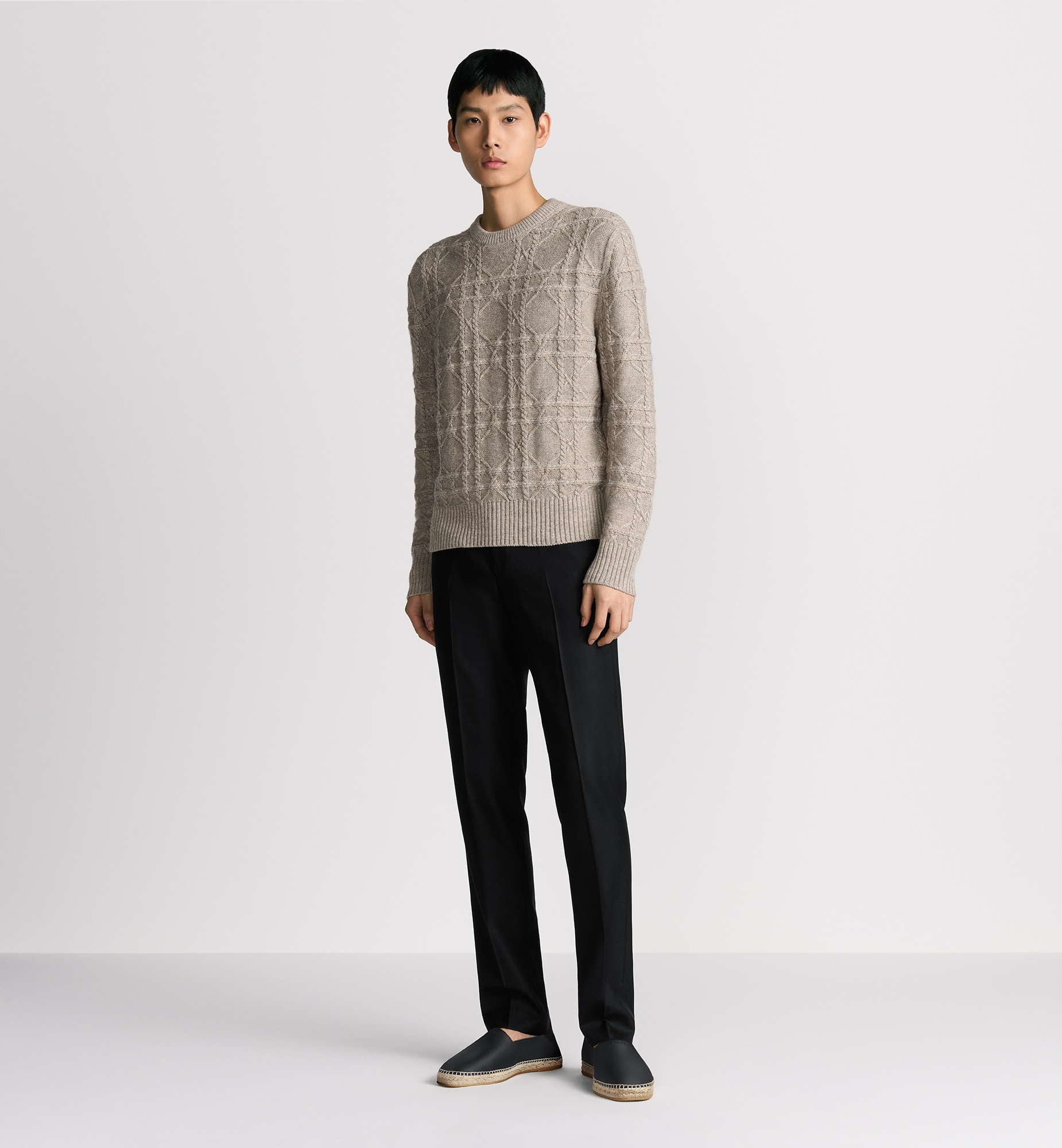 Dior Icons Regular-Fit Pants - 3