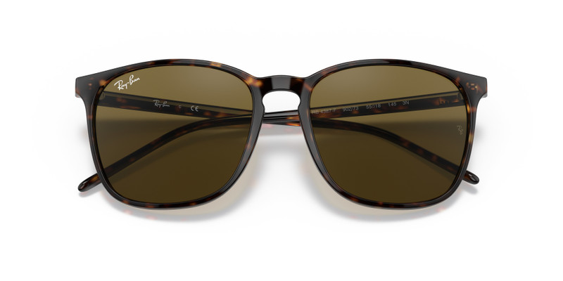 Ray-Ban RB4387 outlook