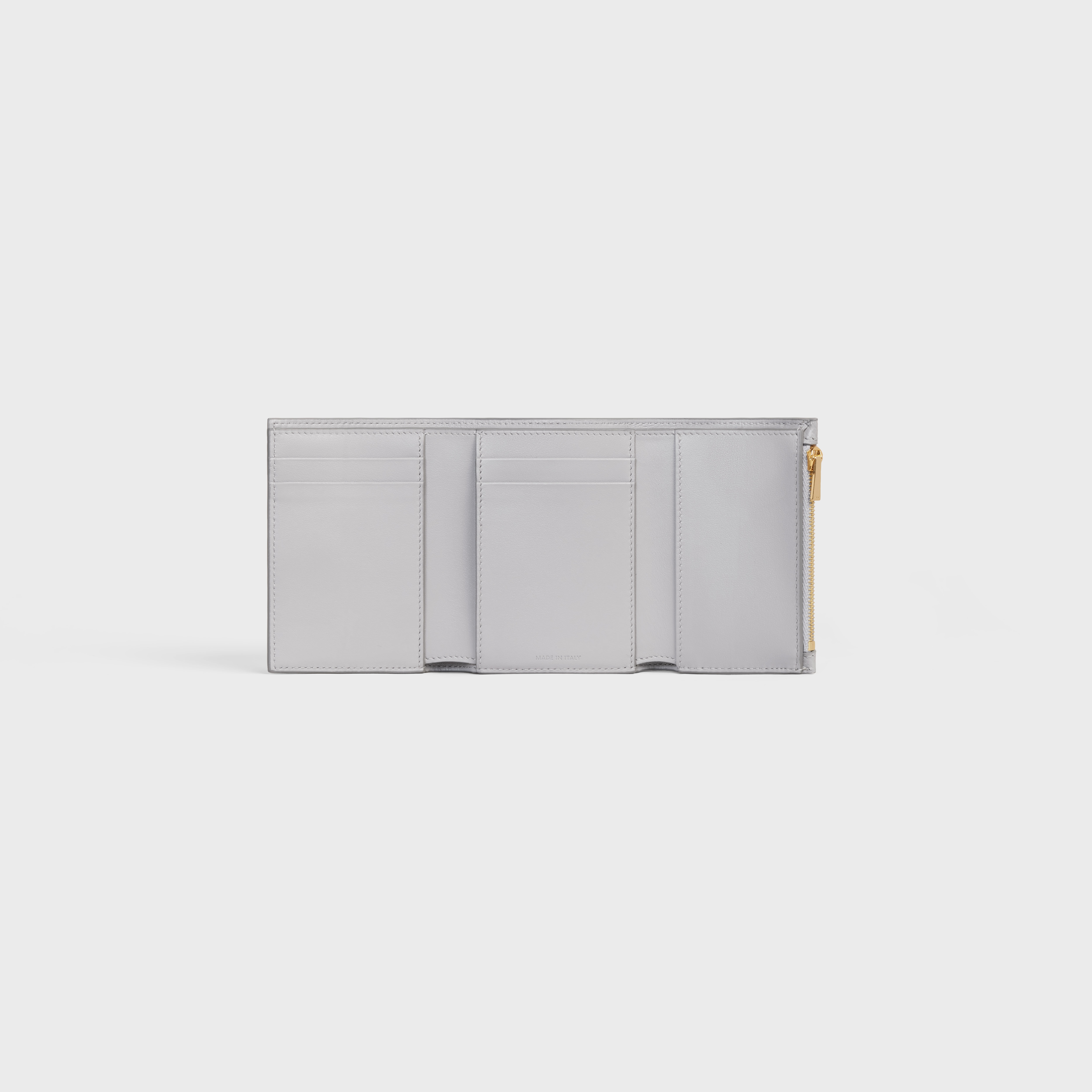 Fine Strap Wallet in Bicolour Grained Calfskin 4