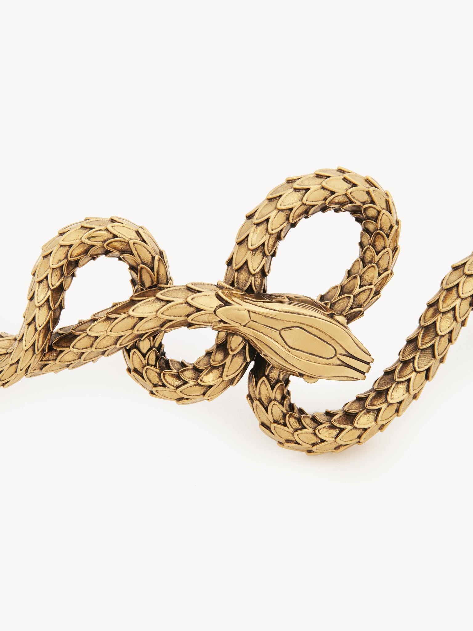 THE CHLOÉ SNAKE BELT - 3