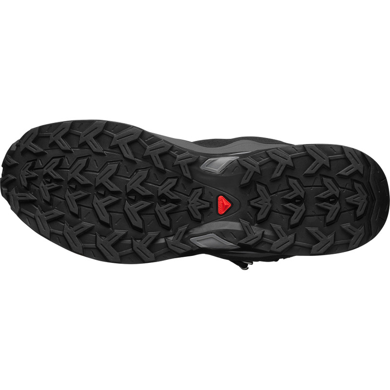 SALOMON SHELTER CSWP outlook