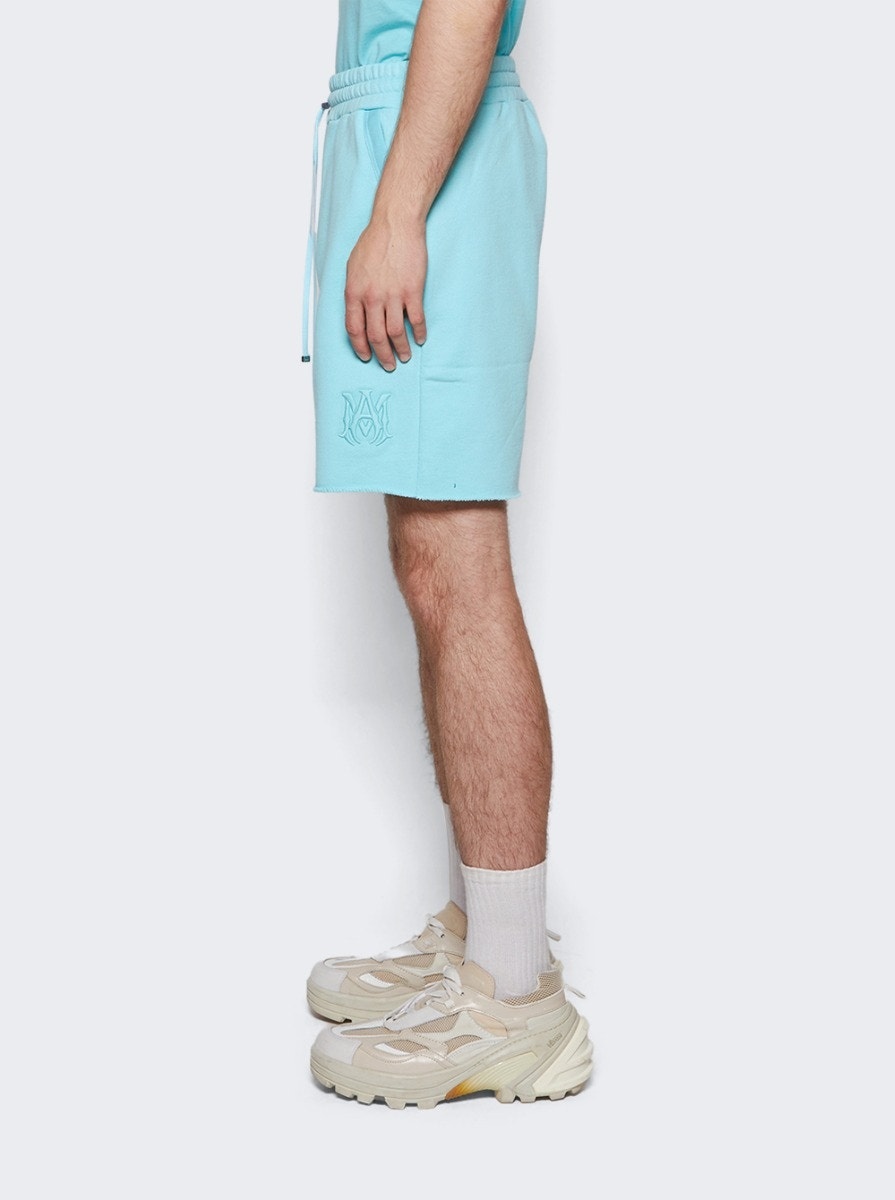 Tonal MA Sweatshort Aqua - 4