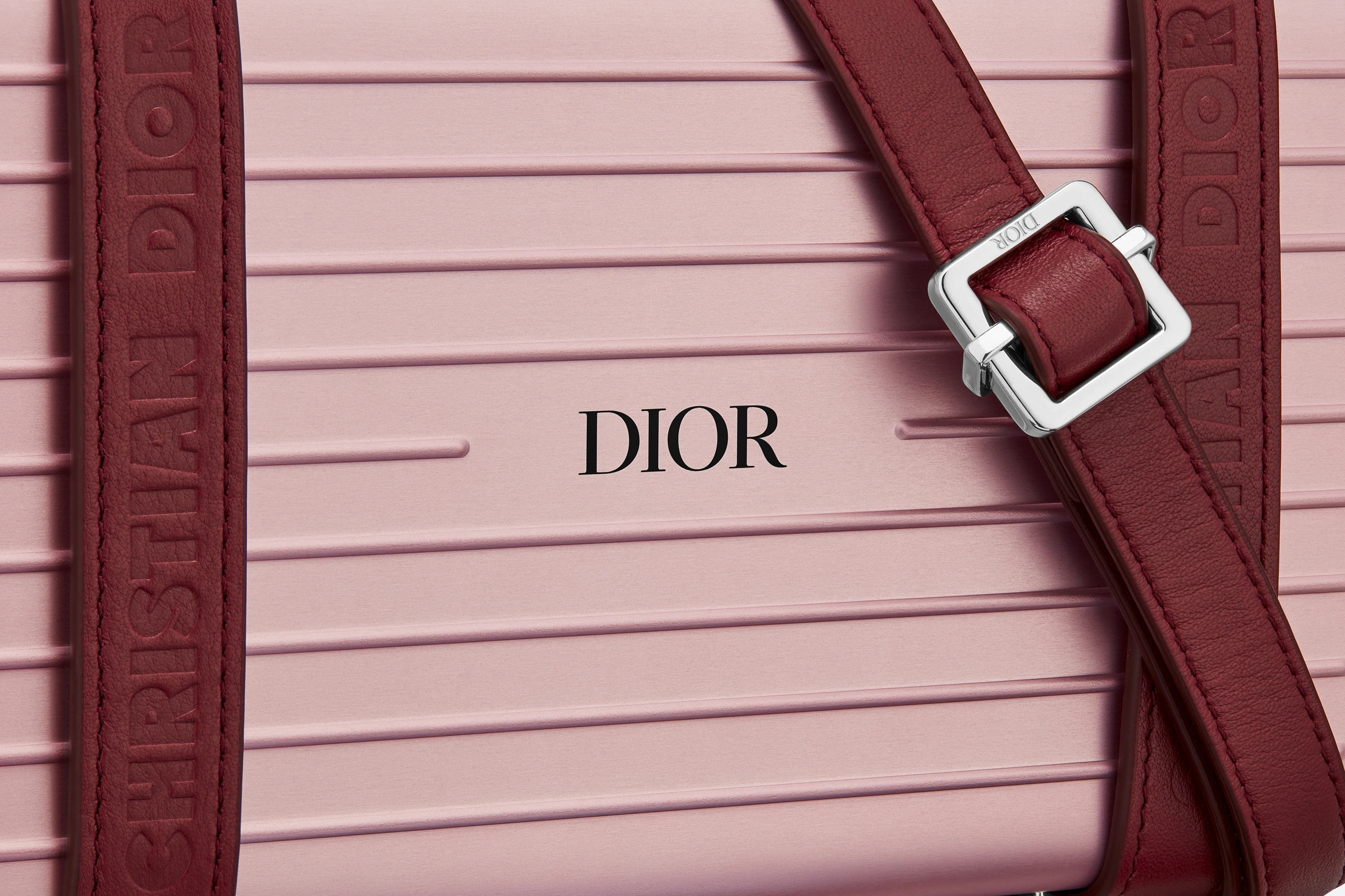 DIOR and RIMOWA Personal Clutch - 6