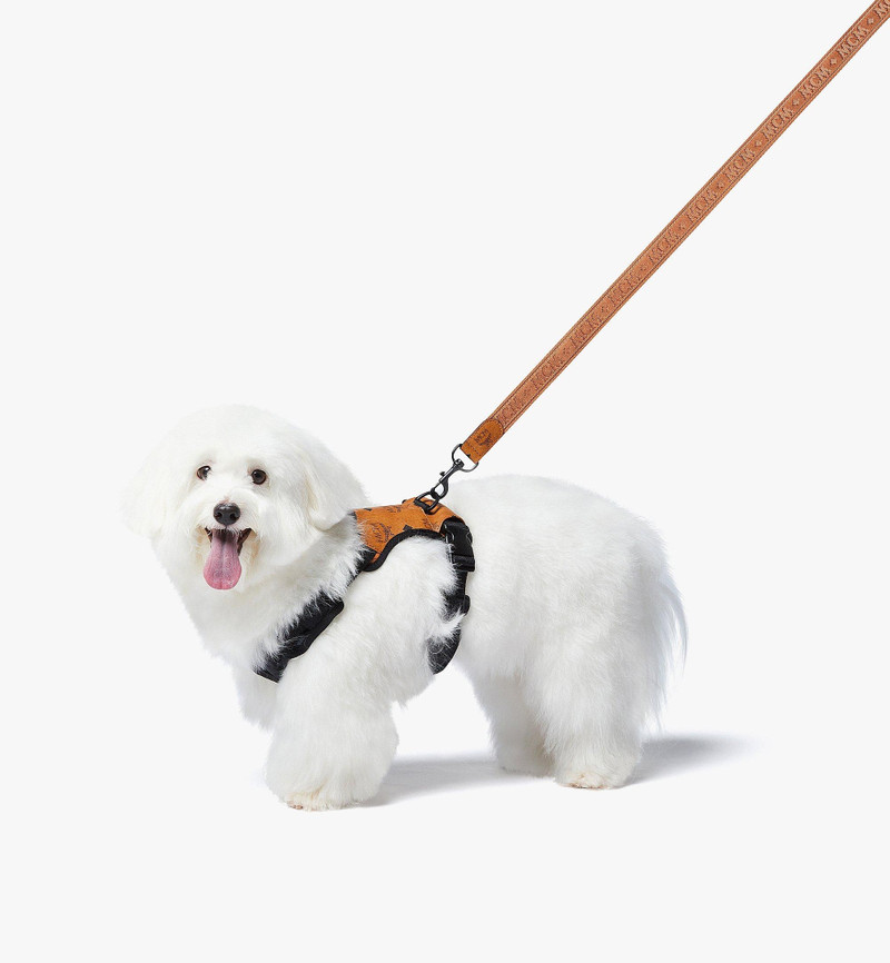 Pet Harness in Visetos 8