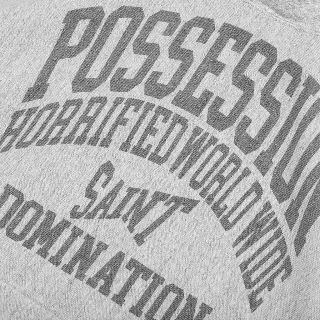 POSSESSION HOODIE - GREY