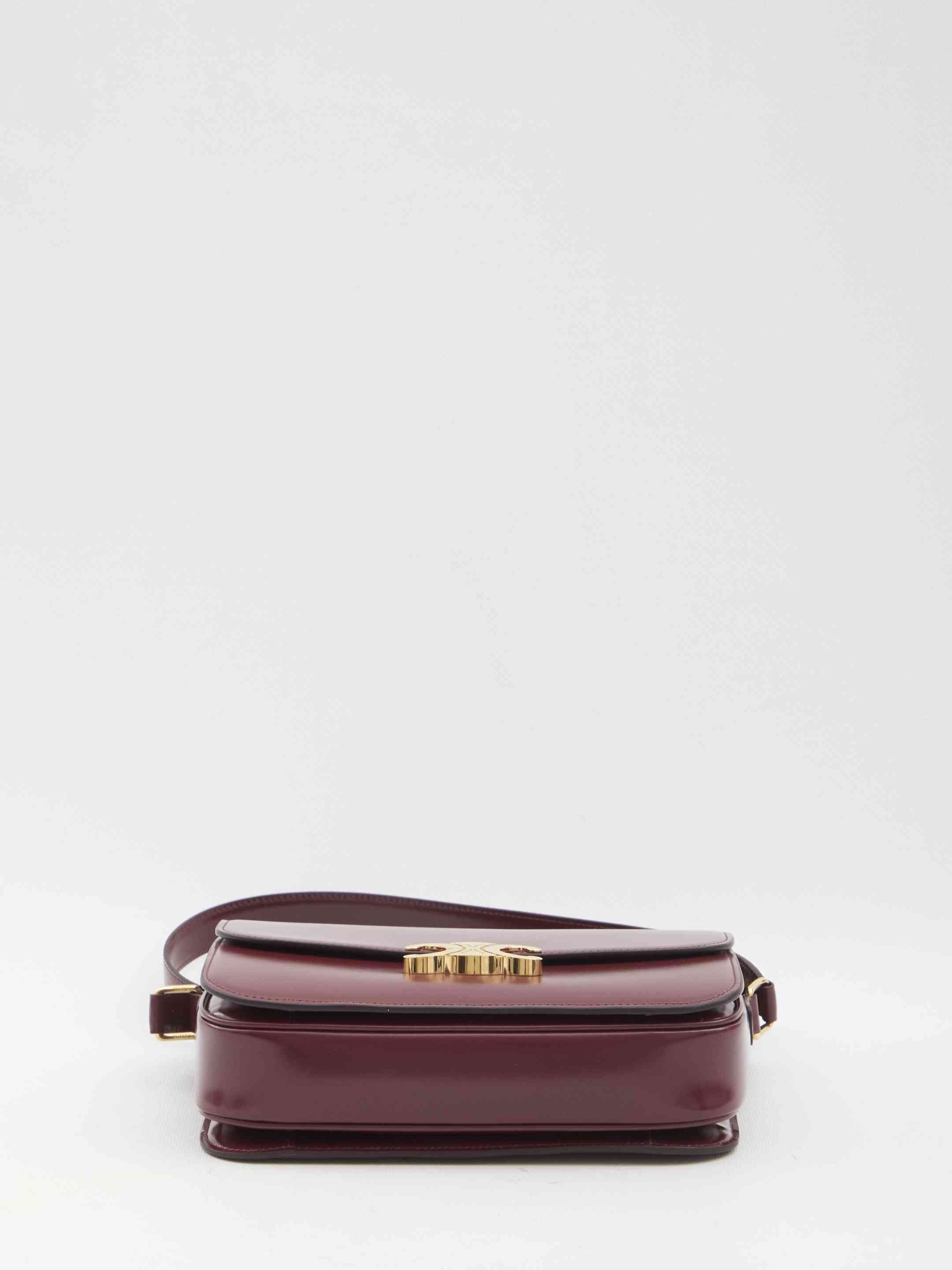 Celine Women Triomphe Classique Bag - 3