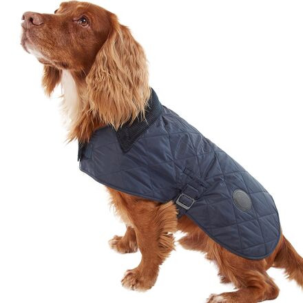 Quilted Dog Coat - 5