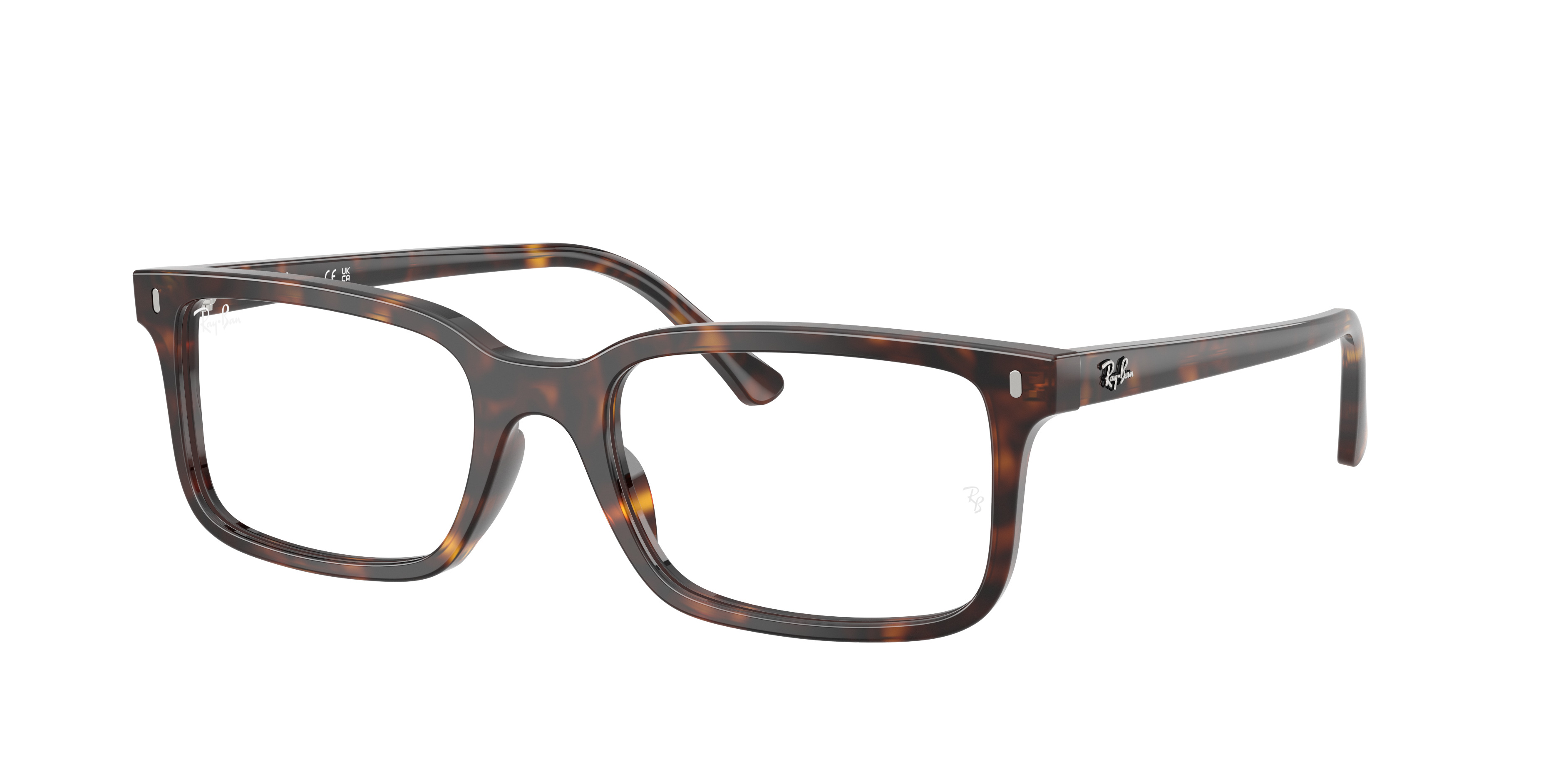 RB5445 OPTICS - 3