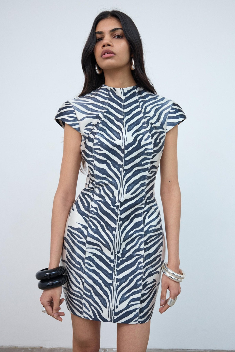 De La Vali ZENA MINI DRESS IN ZEBRA PRINTED TWILL outlook