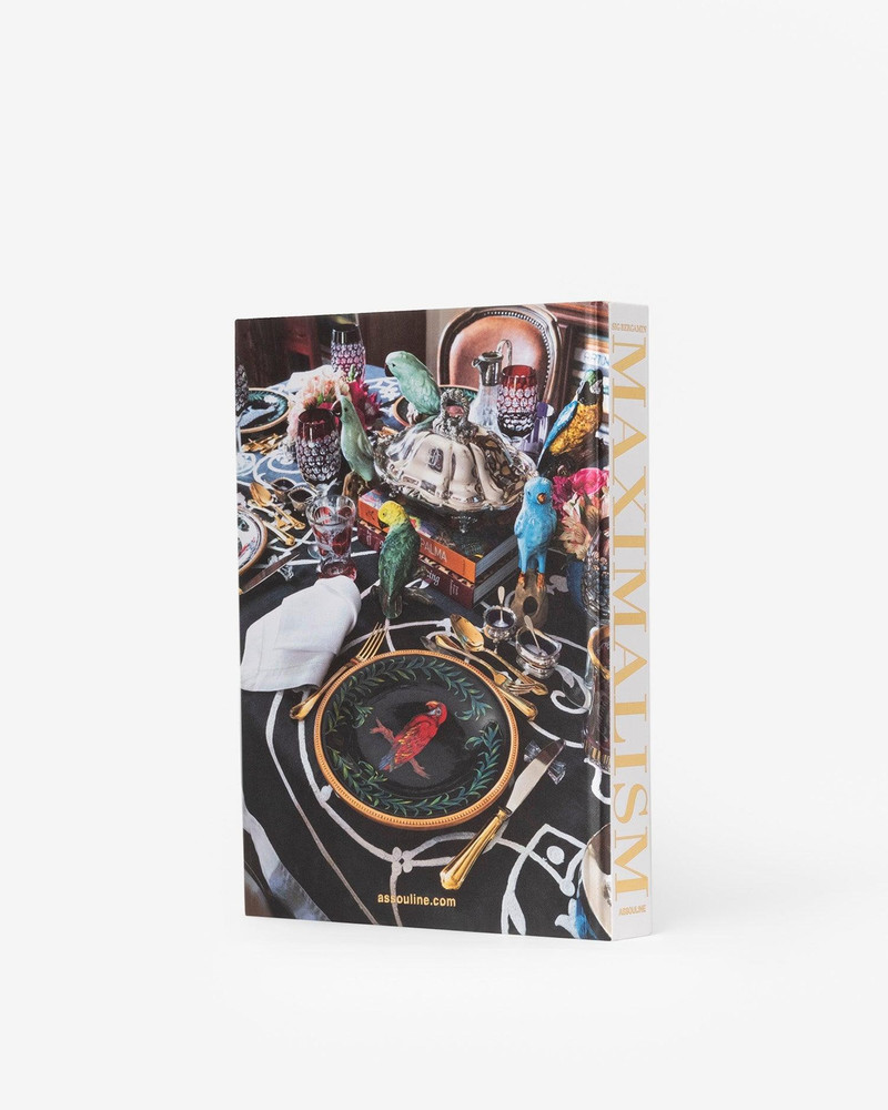 ASSOULINE Maximalism by Sig Bergamin outlook
