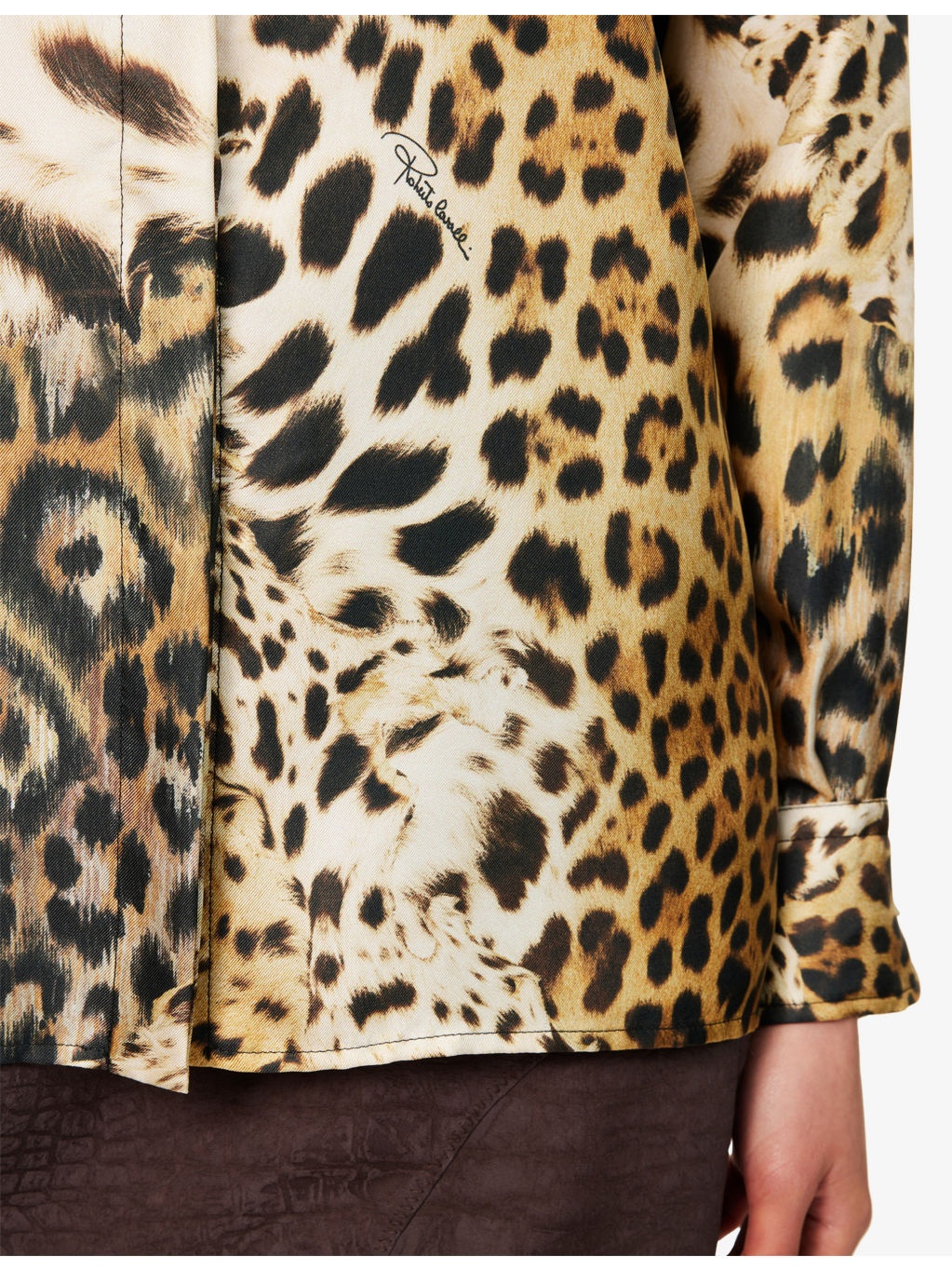 Animal-Print Long-Sleeves Silk Shirt - 6