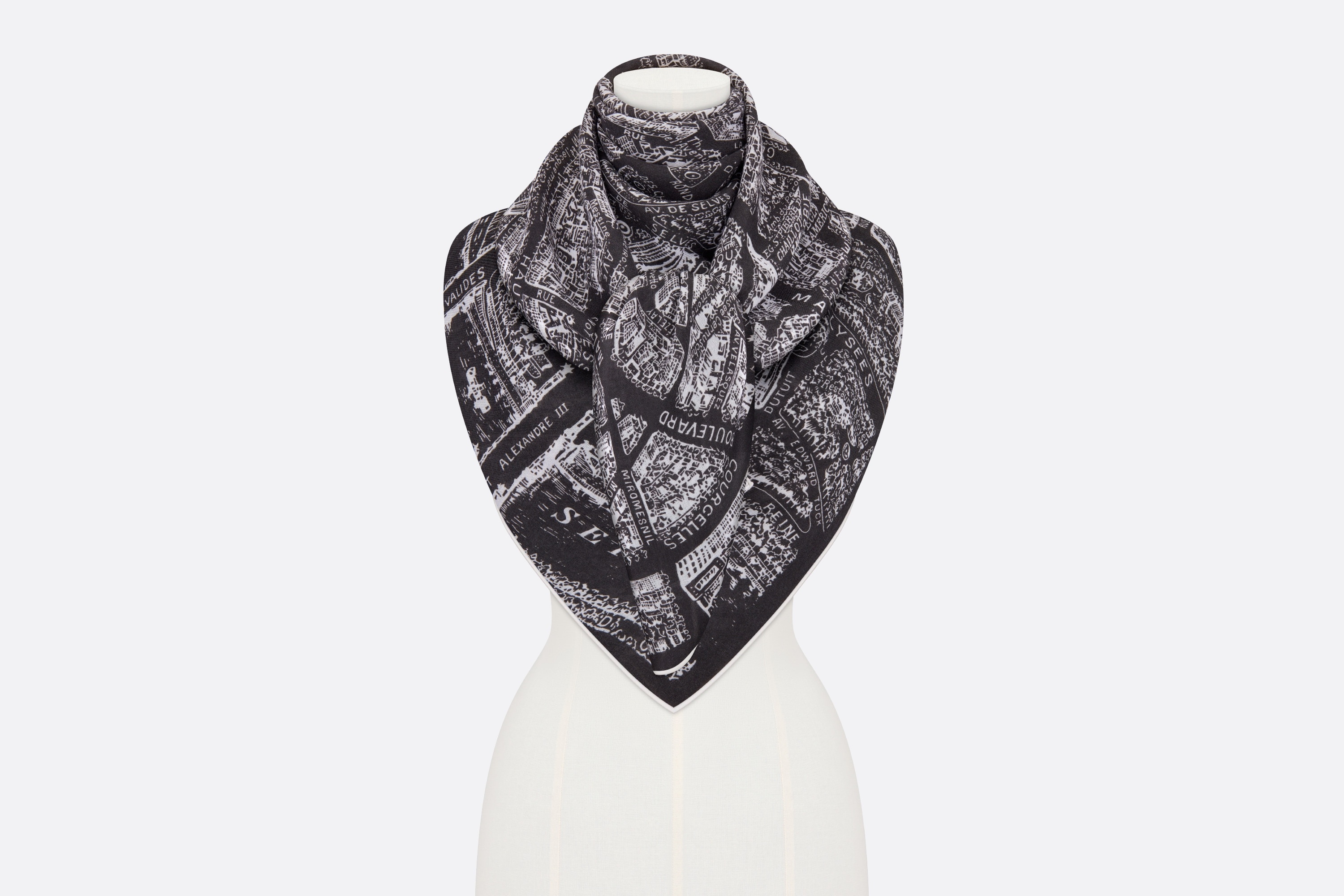 Dior Plan de Paris Shawl | REVERSIBLE