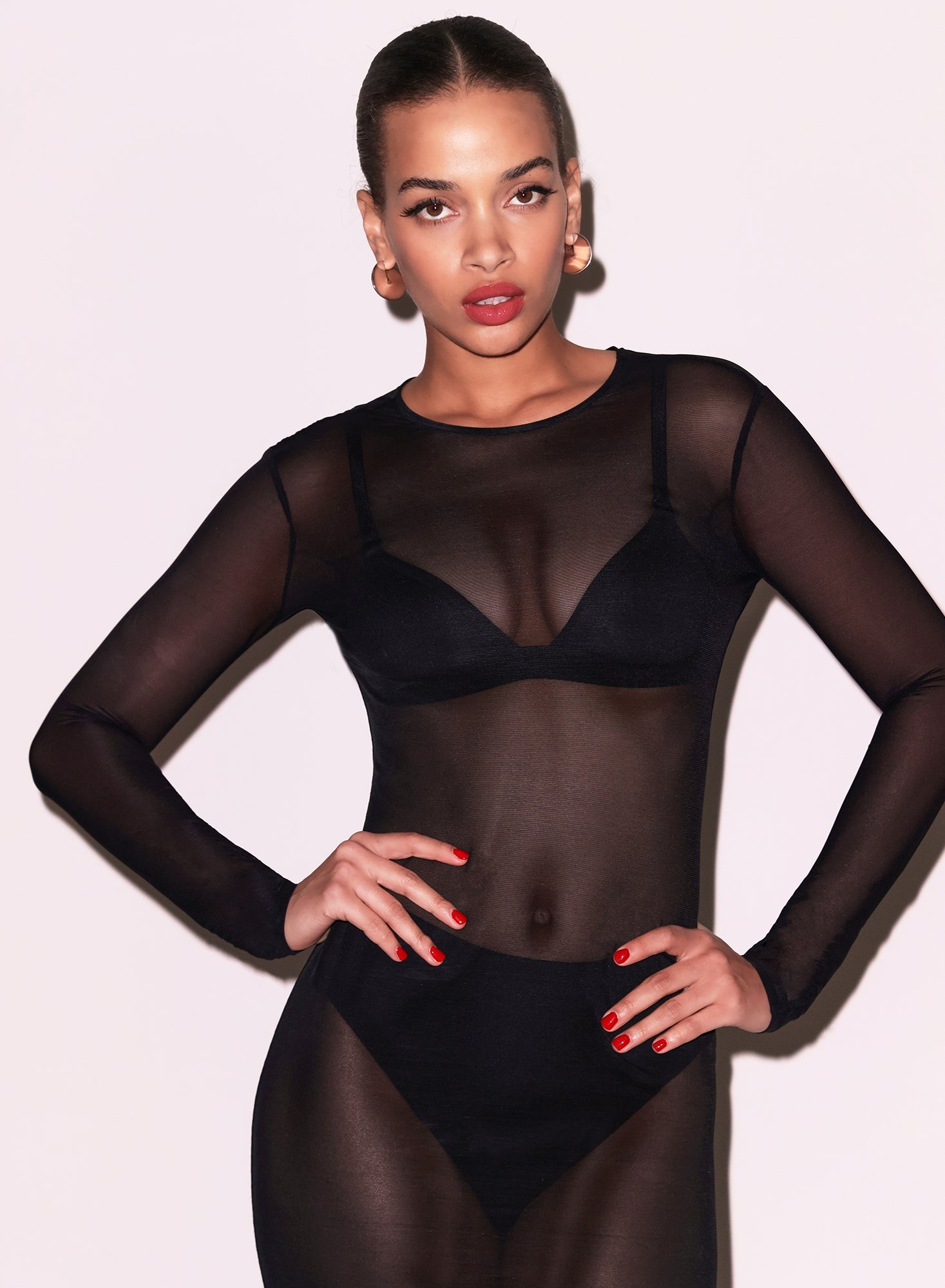 Mesh Long Sleeve Midi Dress - 2