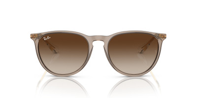 Ray-Ban ERIKA CLASSIC outlook