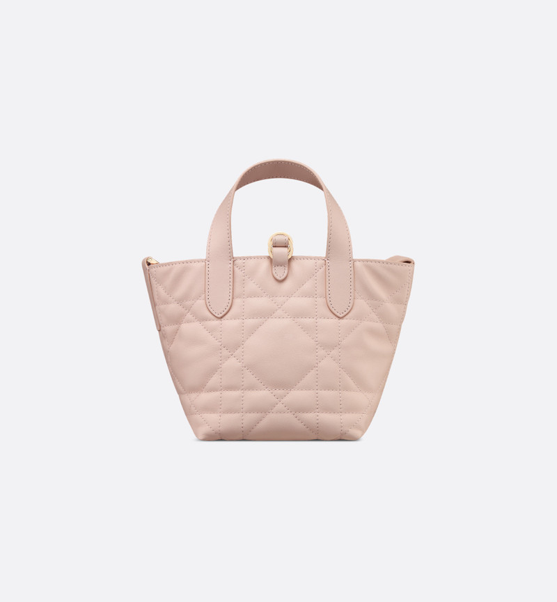 Dior Toujours Vertical Nano Tote Bag 5