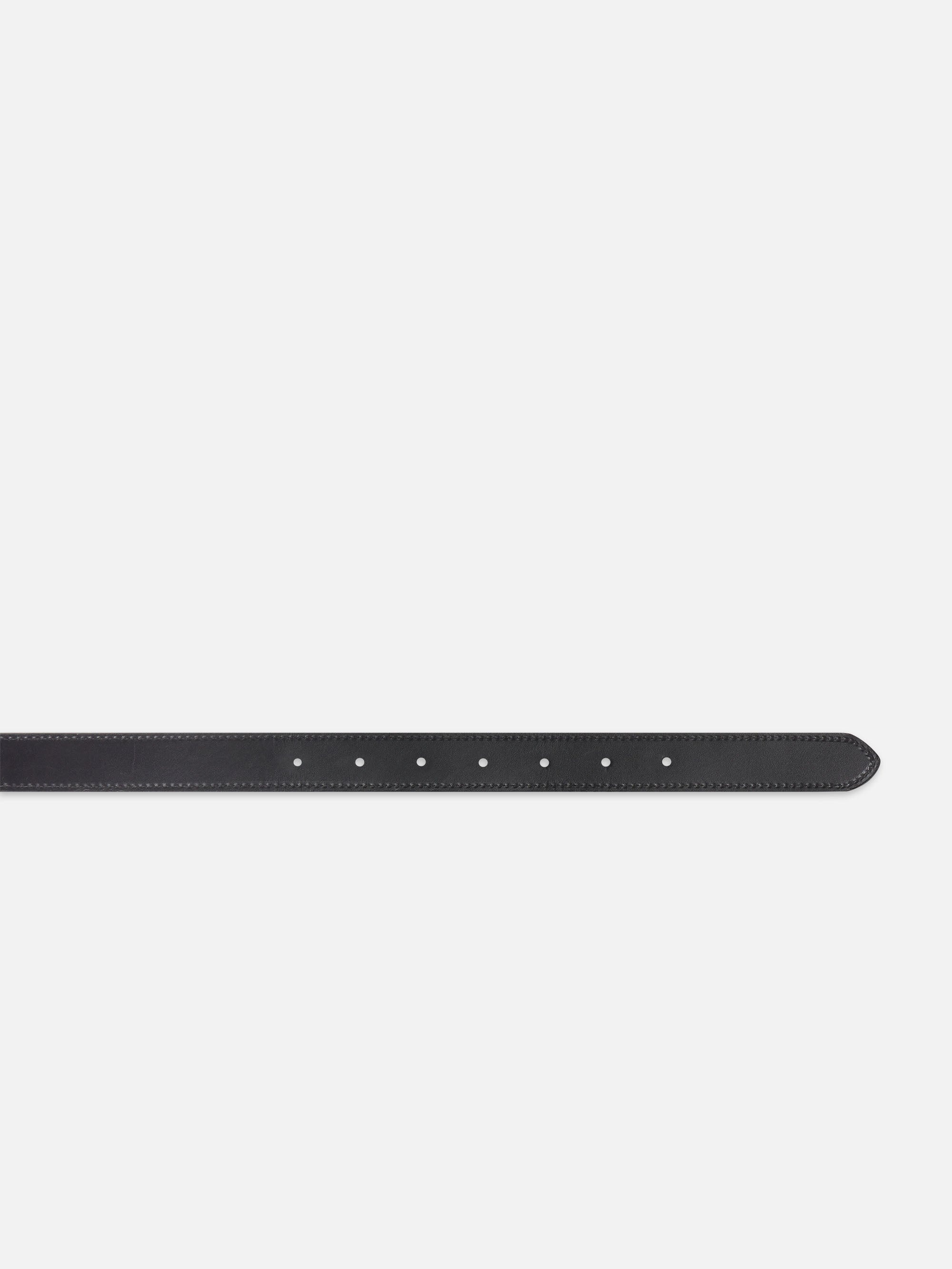 Medallion Buckle Belt in Black - 3