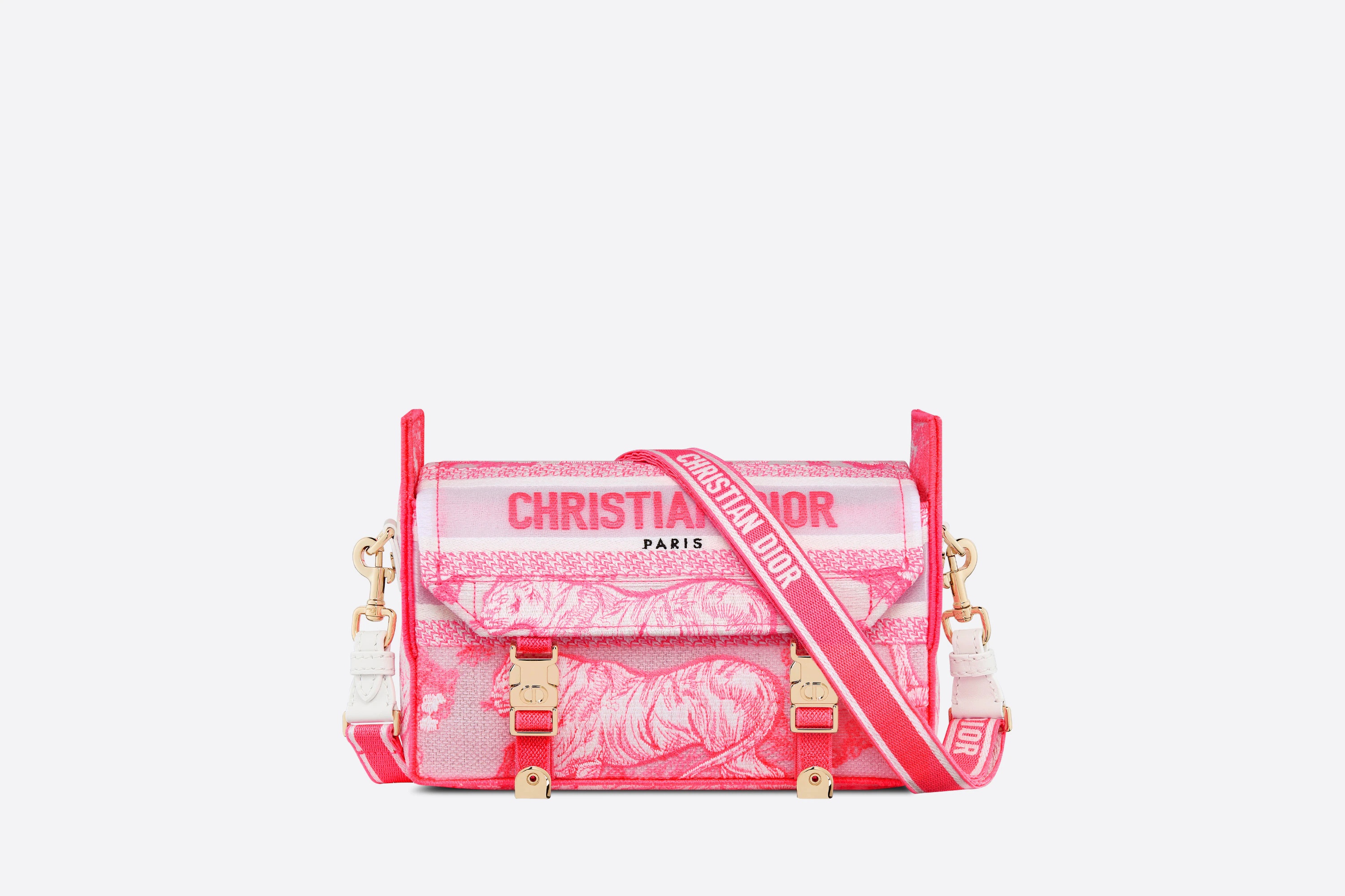 Small Diorcamp Bag 1
