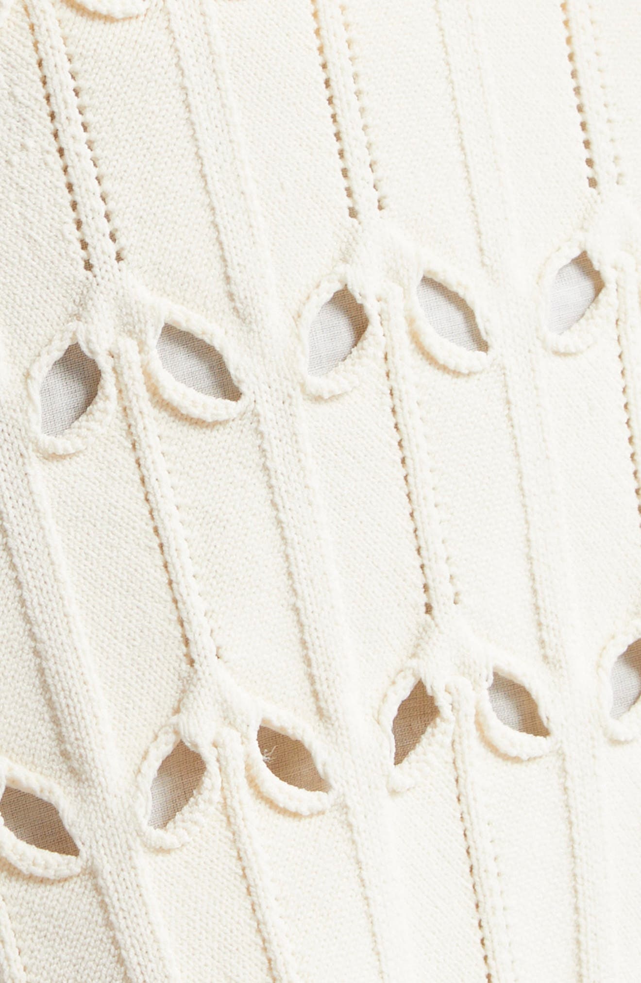 Zimmermann Rhiannon Pointelle Knit Shorts in Cream at Nordstrom - 6