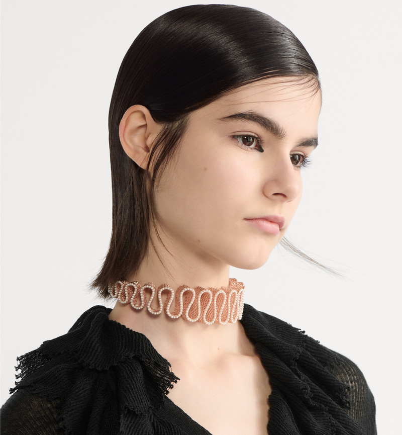 Dior D-Ornemental Choker outlook