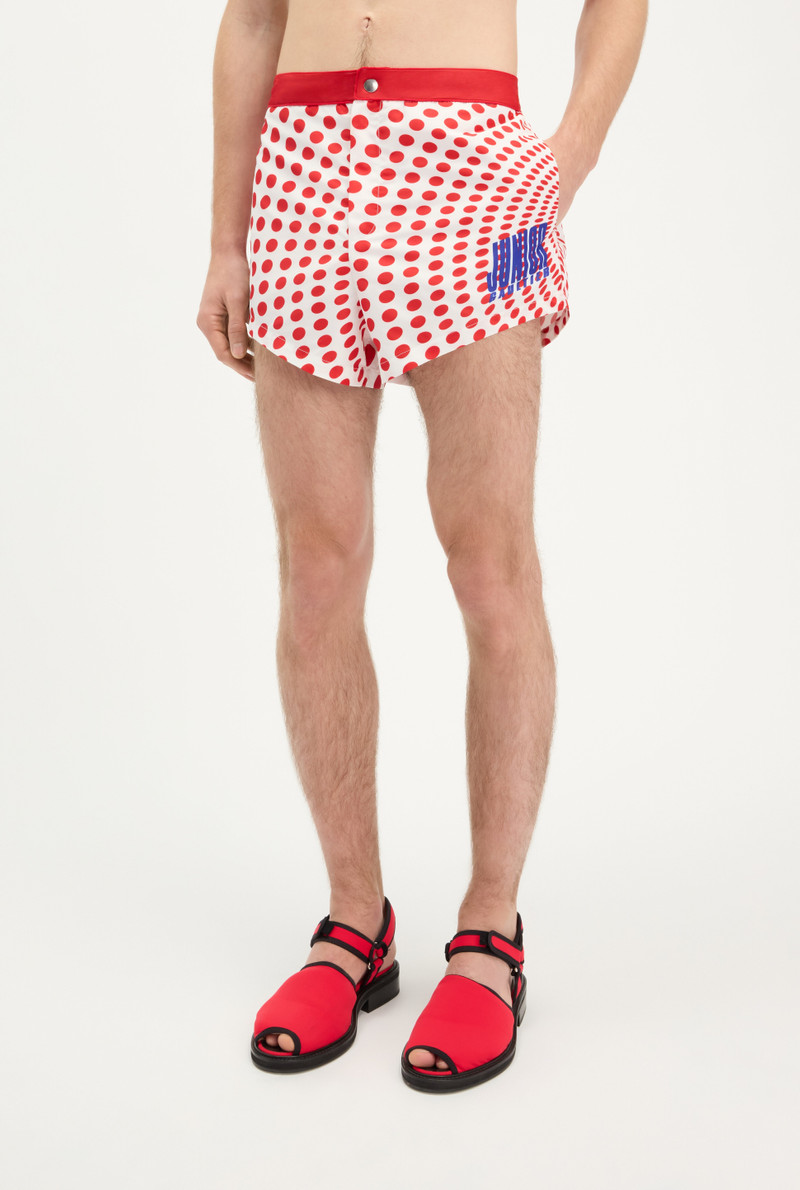 THE RED POLKA-DOT SWIMMING BRIEFS 4